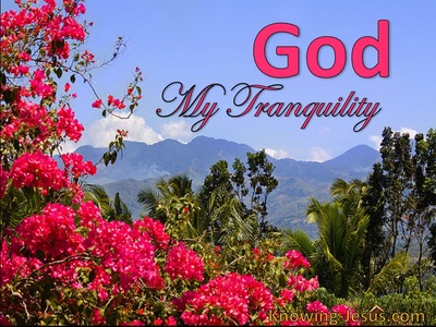 God, My Tranquility (All I Need-3)